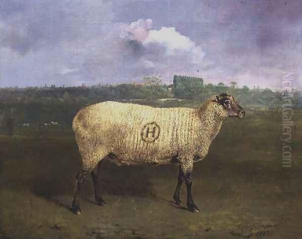 A Prize Ewe with monogram H belonging to Mr J.A. Houblon Hallingbury Place Essex 1812 Oil Painting by Abraham Cooper