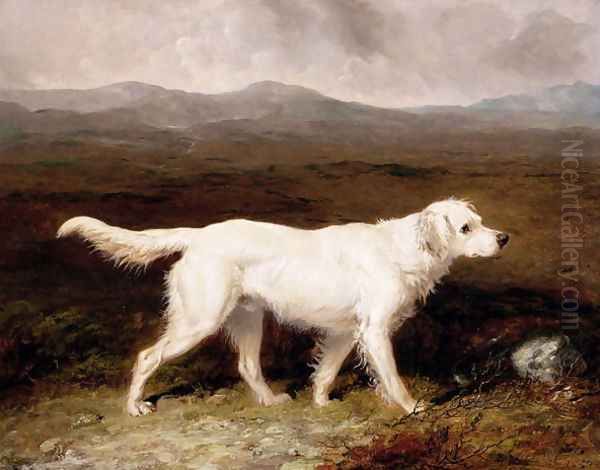 Charles Brett's White English Setter, Sam in a Moorland Landscape, 1836 Oil Painting by Abraham Cooper