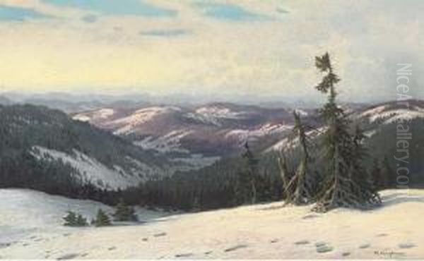 An Alpine Forest Oil Painting by Karl Hauptmann