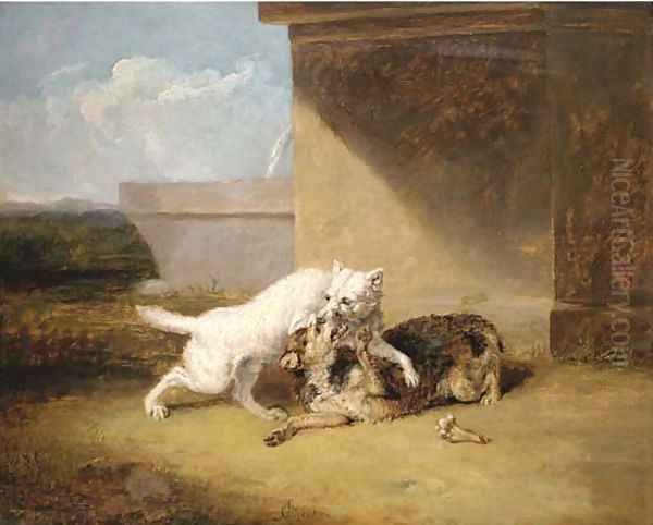 A dog-fight Oil Painting by Abraham Cooper