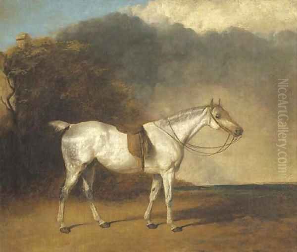 A saddled grey hunter in a landscape Oil Painting by Abraham Cooper