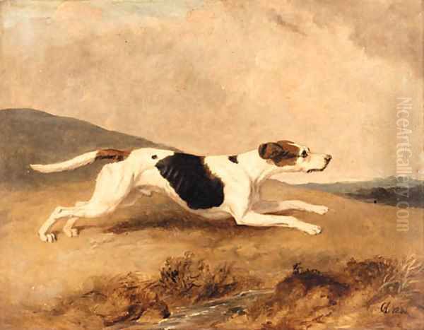 An Old Surrey and Burstow Foxhound Oil Painting by Abraham Cooper