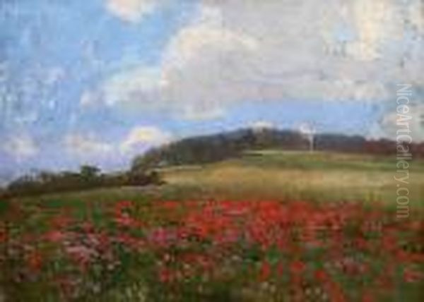 Meadow With Poppies Oil Painting by Roman Havelka