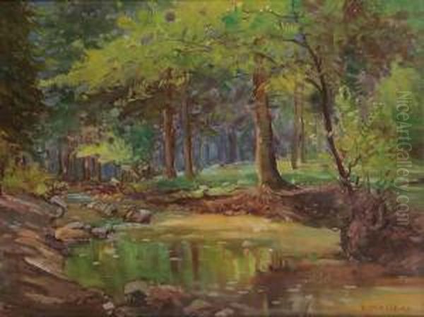 A Forest Brook Oil Painting by Roman Havelka