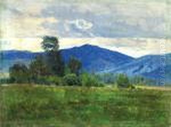 Letni Krajina Oil Painting by Roman Havelka