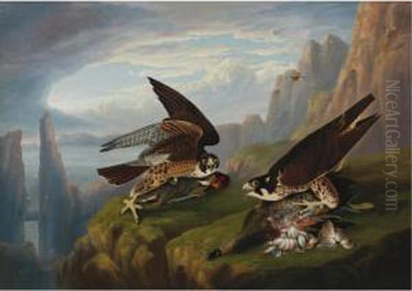 Peregrine Falcon (great-footed Hawk) Oil Painting by Robert Ii Havell