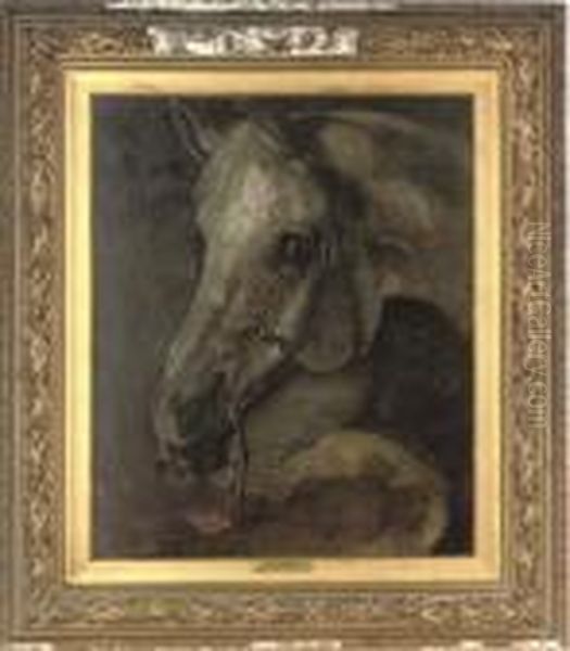 An Arab Horse Oil Painting by Benjamin Robert Haydon