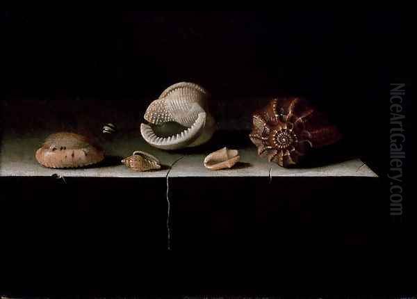 Six Shells on a Stone Shelf, 1696 Oil Painting by Adriaen Coorte