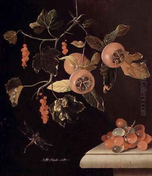 Still Life of Medlars, Redcurrants, Grapes and a Dragonfly, 1686 Oil Painting by Adriaen Coorte