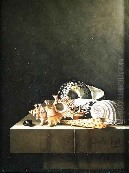 A still life of shells 1698 Oil Painting by Adriaen Coorte