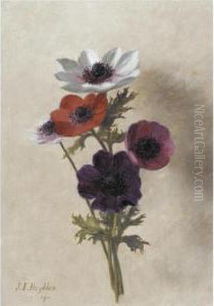 Anemones Oil Painting by Jessica Hayllar