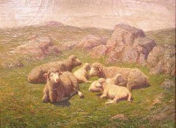 Sheep Resting On A Rocky Hillside Oil Painting by George Arthur Hays