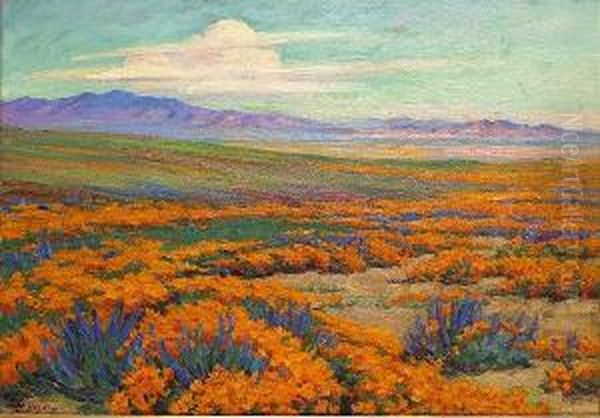 Flowers In Bloom, Mojave Desert, California by Arthur Merton Hazard