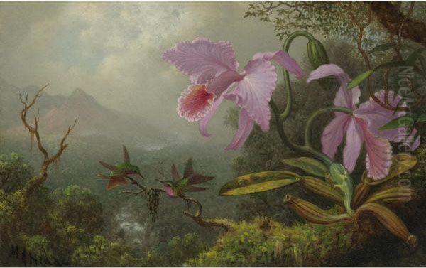 Two Sun Angel Hummingbirds On A Branch Near Two Orchids Oil Painting by Martin Johnson Heade