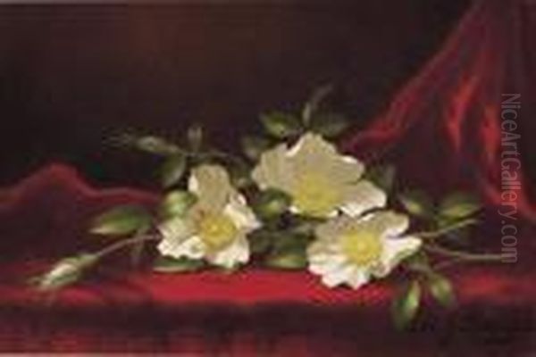 Still Life With Cherokee Roses Oil Painting by Martin Johnson Heade