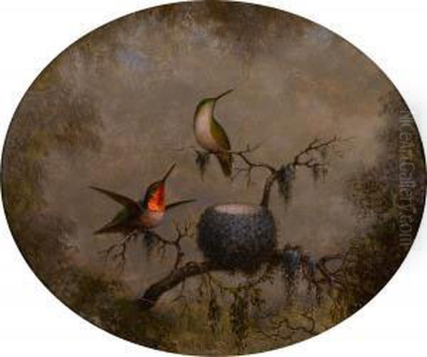 Hummingbirds And Their Nest Oil Painting by Martin Johnson Heade