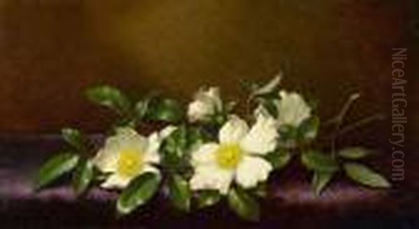 Cherokee Roses On A Purple Cloth Oil Painting by Martin Johnson Heade