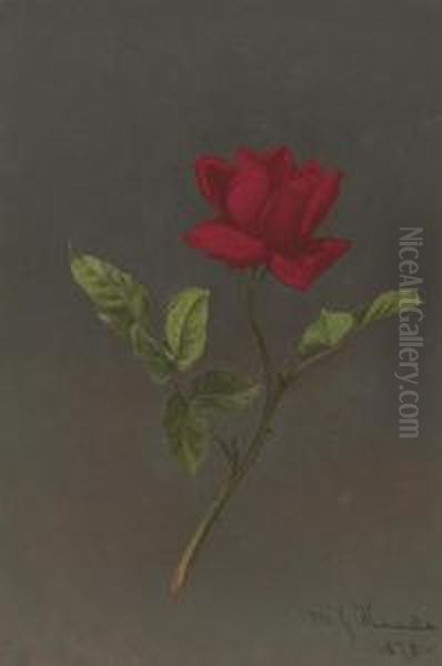 Red Rose Oil Painting by Martin Johnson Heade