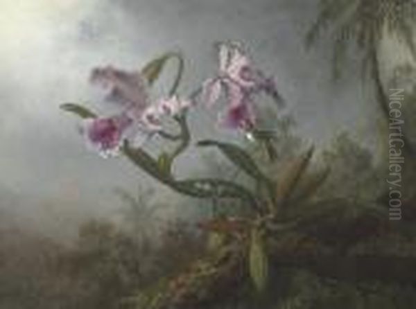 Pink Orchids And Hummingbird On A Twig Oil Painting by Martin Johnson Heade