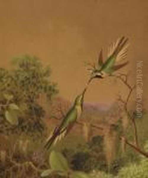 Brazlilian Hummingbirds Iv Oil Painting by Martin Johnson Heade