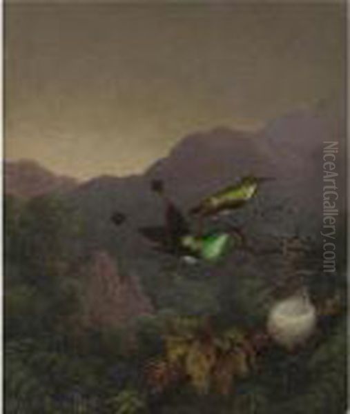 Racket-tail, Brazil Oil Painting by Martin Johnson Heade