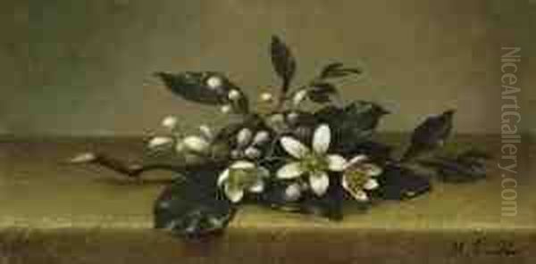 Branch Of Orange Blossoms Oil Painting by Martin Johnson Heade