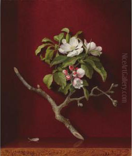 Apple Blossoms In A Corner Oil Painting by Martin Johnson Heade