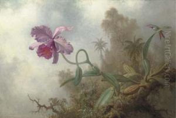 An Orchid With An Amethyst Woodstar Oil Painting by Martin Johnson Heade