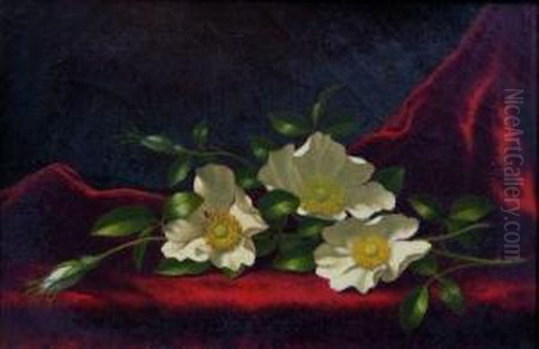 Still Life With Cherokee Roses Oil Painting by Martin Johnson Heade