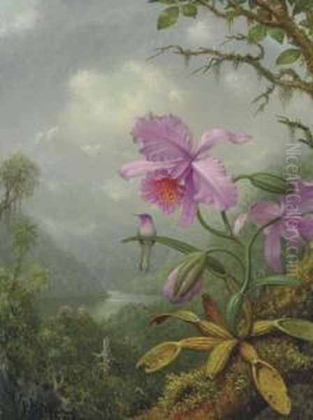 Hummingbird Perched On An Orchid Plant Oil Painting by Martin Johnson Heade