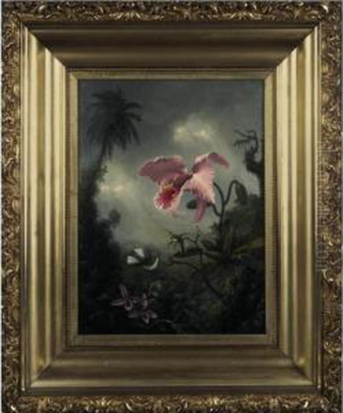 Two Hummingbirds, Two Types Of Orchids And A Palm Tree Oil Painting by Martin Johnson Heade