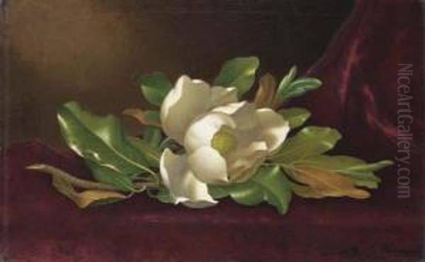 Single Magnolia On Red Velvet Oil Painting by Martin Johnson Heade