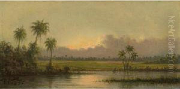 Palm Trees, Florida Oil Painting by Martin Johnson Heade