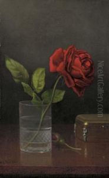 Queen Of Roses Oil Painting by Martin Johnson Heade