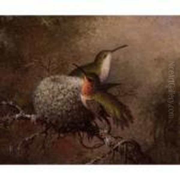 Two Ruby Throats By Their Nest Oil Painting by Martin Johnson Heade