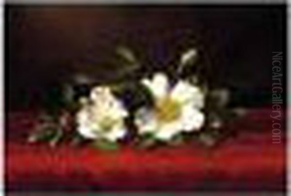 Two Cherokee Roses On Red Velvet Oil Painting by Martin Johnson Heade