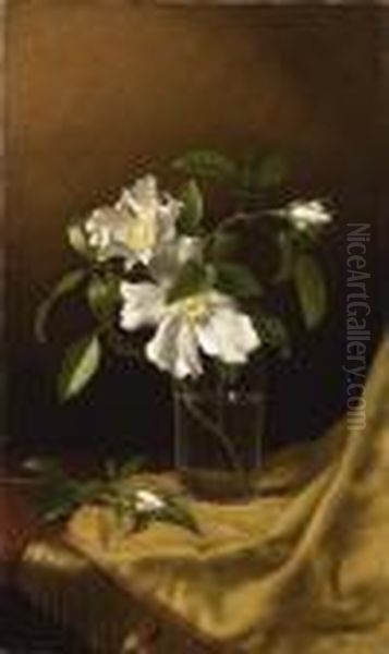 Cherokee Roses In A Glass On Gold Velvet Plush Oil Painting by Martin Johnson Heade