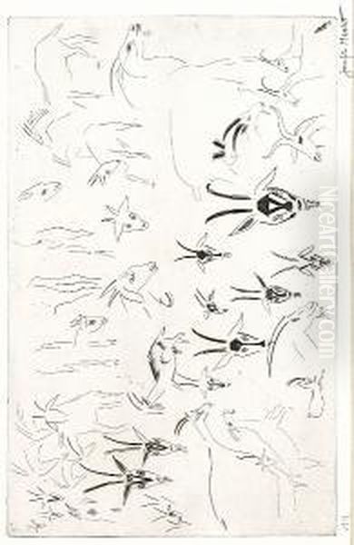 Impala Studies by Joseph Hecht