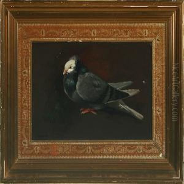 A Pigeon Oil Painting by Heinrich Hansen