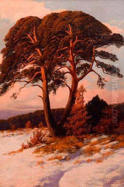 Markische Winterlandschaft Mit Kiefer Im Abendrot Oil Painting by Rudolf Hellgrewe