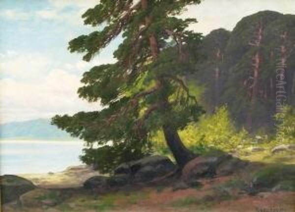 Kiefernbestandene Uferlandschaft Oil Painting by Rudolf Hellgrewe