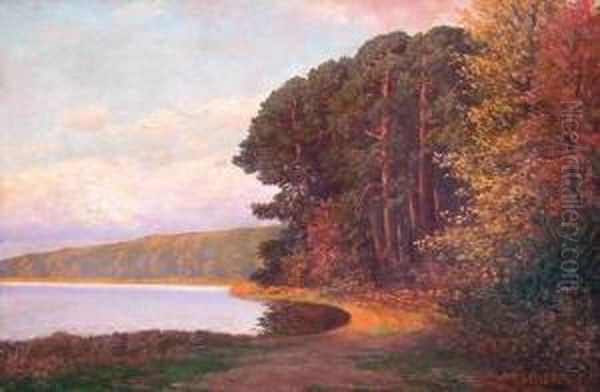 Baumbestandene Markische Seenlandschaft Bei Sommerlichem Sonnenuntergang Oil Painting by Rudolf Hellgrewe