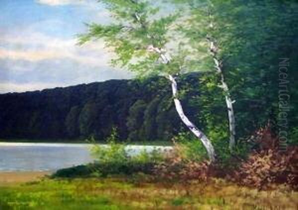 Uferlandschaft Mit Birken Oil Painting by Rudolf Hellgrewe