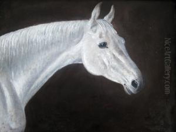 Head Of A Grey Horse Oil Painting by Charles Cooper Henderson