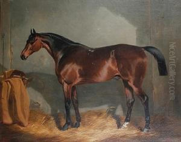 A Chestnut Hunter In A Stable Oil Painting by Charles Cooper Henderson