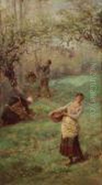 Picking Cider Apples Normandy Oil Painting by William John Hennessy