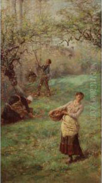 Picking Cider Apples, Normandy Oil Painting by William John Hennessy