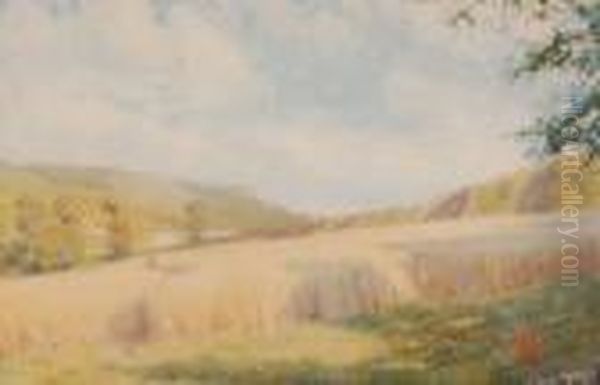 Extensive Harvest Landscape Near Thecoast by Grace Henry