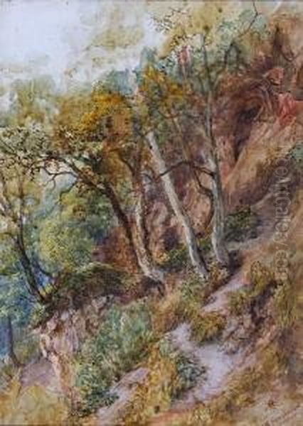 A Wooded Hillside Oil Painting by Frederick Henry Henshaw