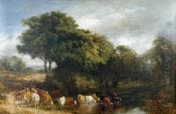 Cattle Watering At A Stream Oil Painting by Frederick Henry Henshaw